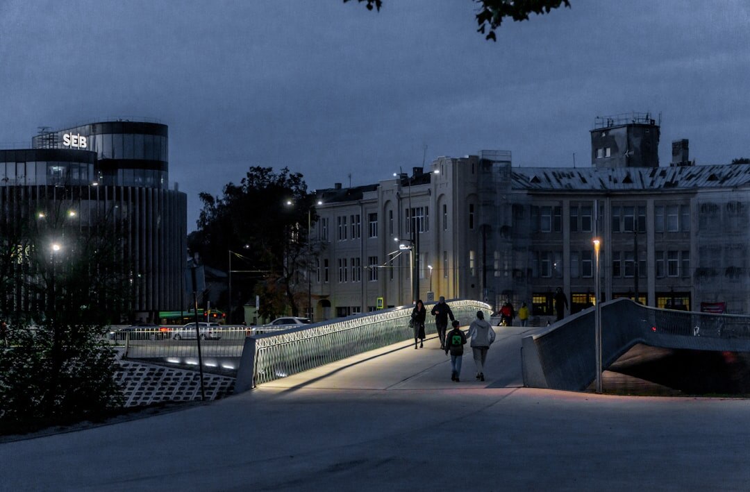 lithuanian city skyline at night