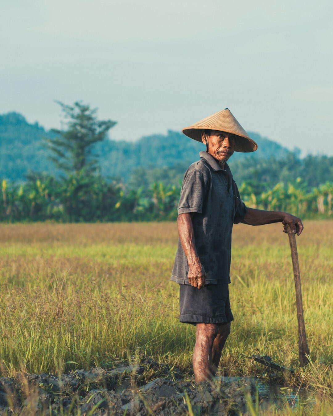 farmer success business